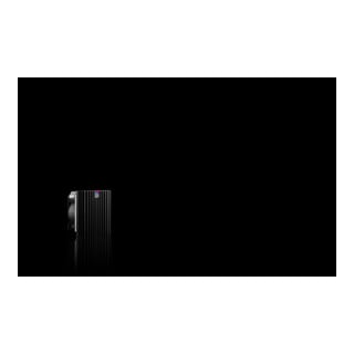 RITTAL Filterlüfter SK 3238.708 63/72 m³/h 230 V