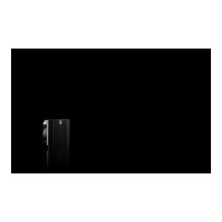 RITTAL Filterlüfter SK 3238.718 63/72 m³/h 115 V