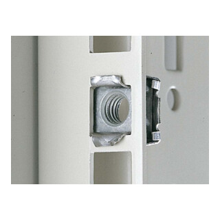 Rittal Käfigmutter M6 EL 2094.200 (VE50)