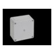 Rittal Klemmengehäuse IP66 PK 9506.000 (VE6)