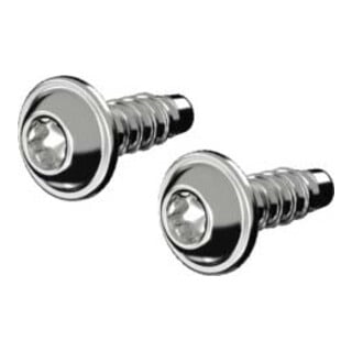 Rittal Kunststoff-Schraube AX 1485.300 (VE50)
