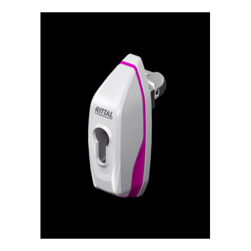 Rittal Mini-Komfortgriff AX Profilhalbzylinder 2537.100