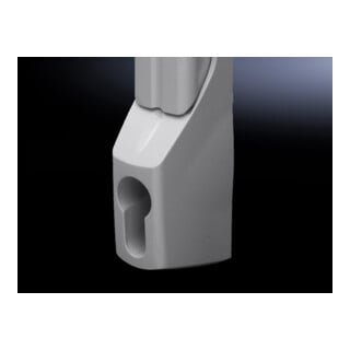 Rittal Poignée confort pour demi-cylindre profilé TS 8611.070