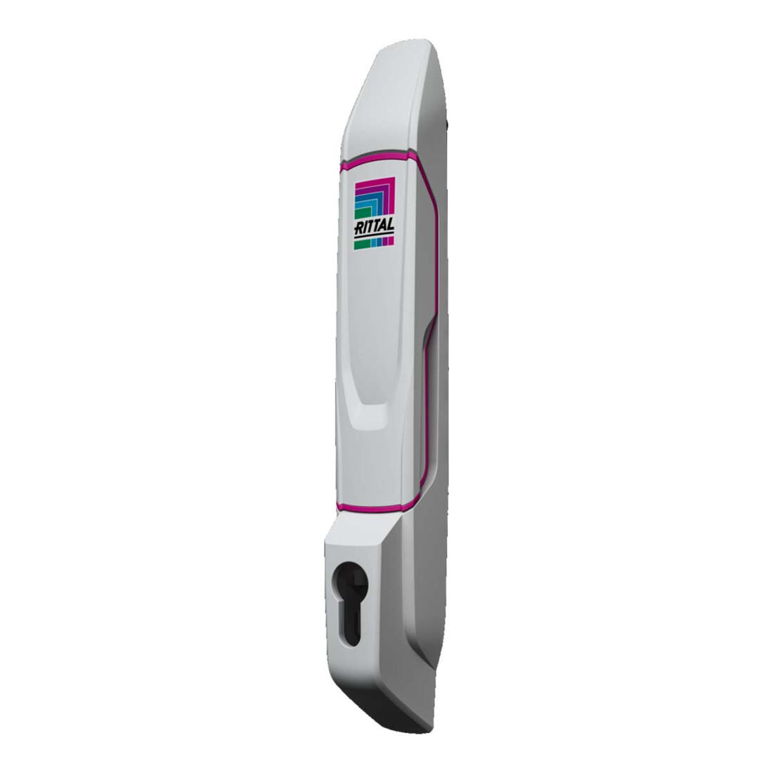 Rittal Poignée confort pour profil demi-cylindrique VX 8618.250