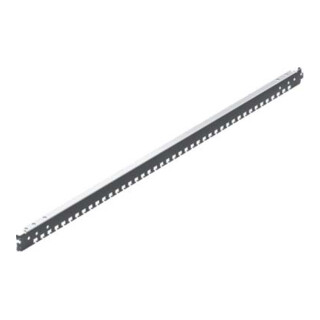 Rittal Rail combinée pour VX IT, 600x2000 5302.020 (4 pièces)