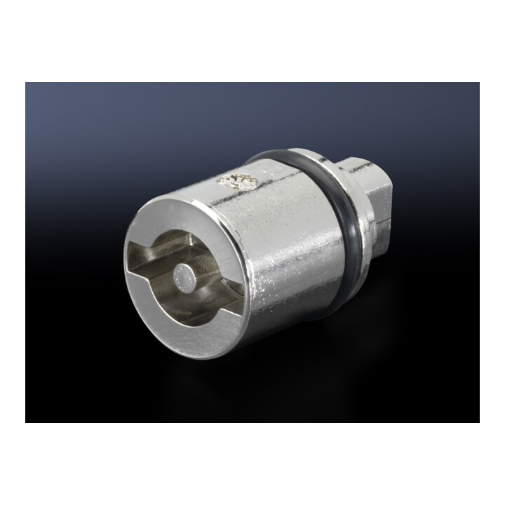 Rittal Verschlußeinsatz L=27mm Doppelbart SZ 2466.000