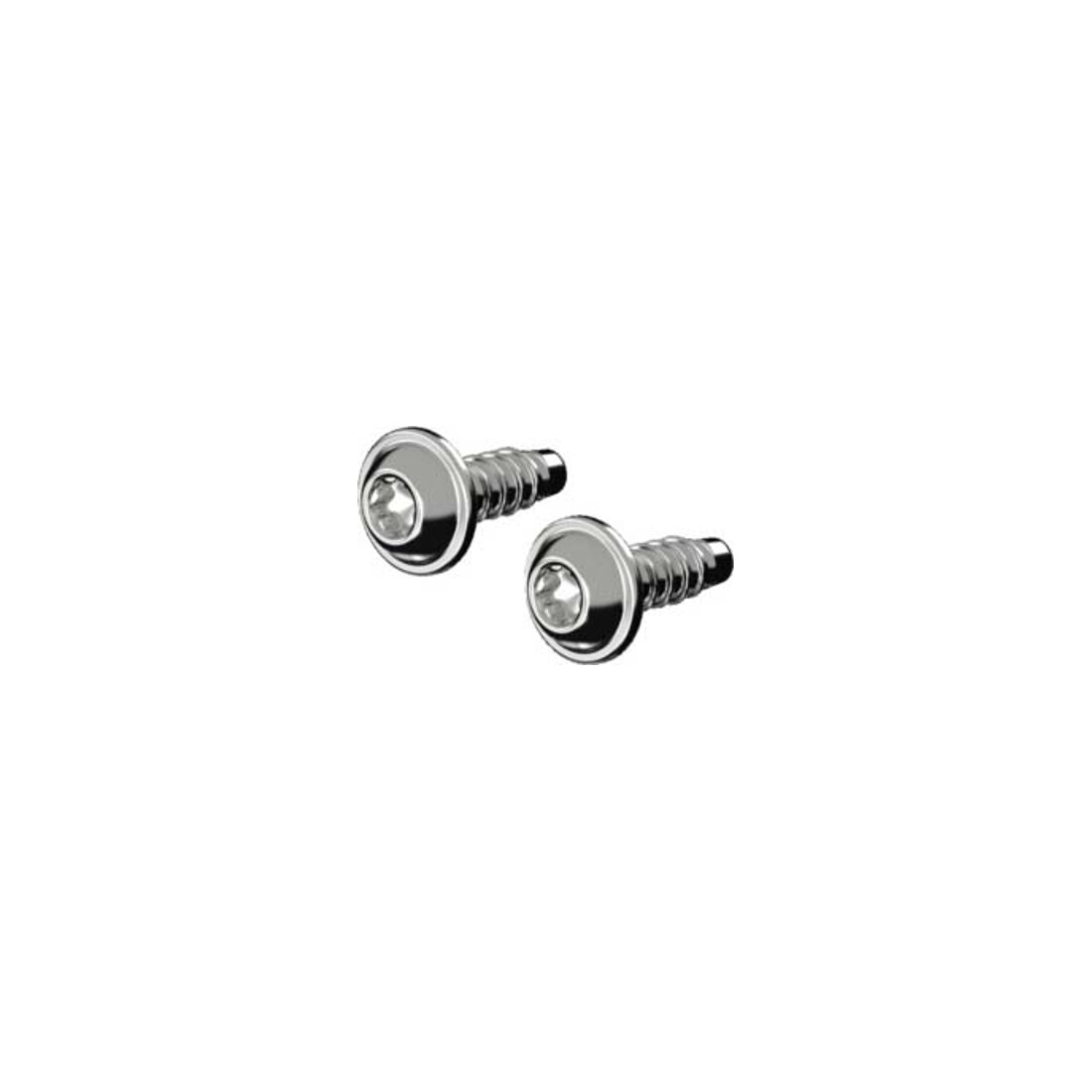 Rittal Vis en plastique AX 1485.300 (50 pièces)