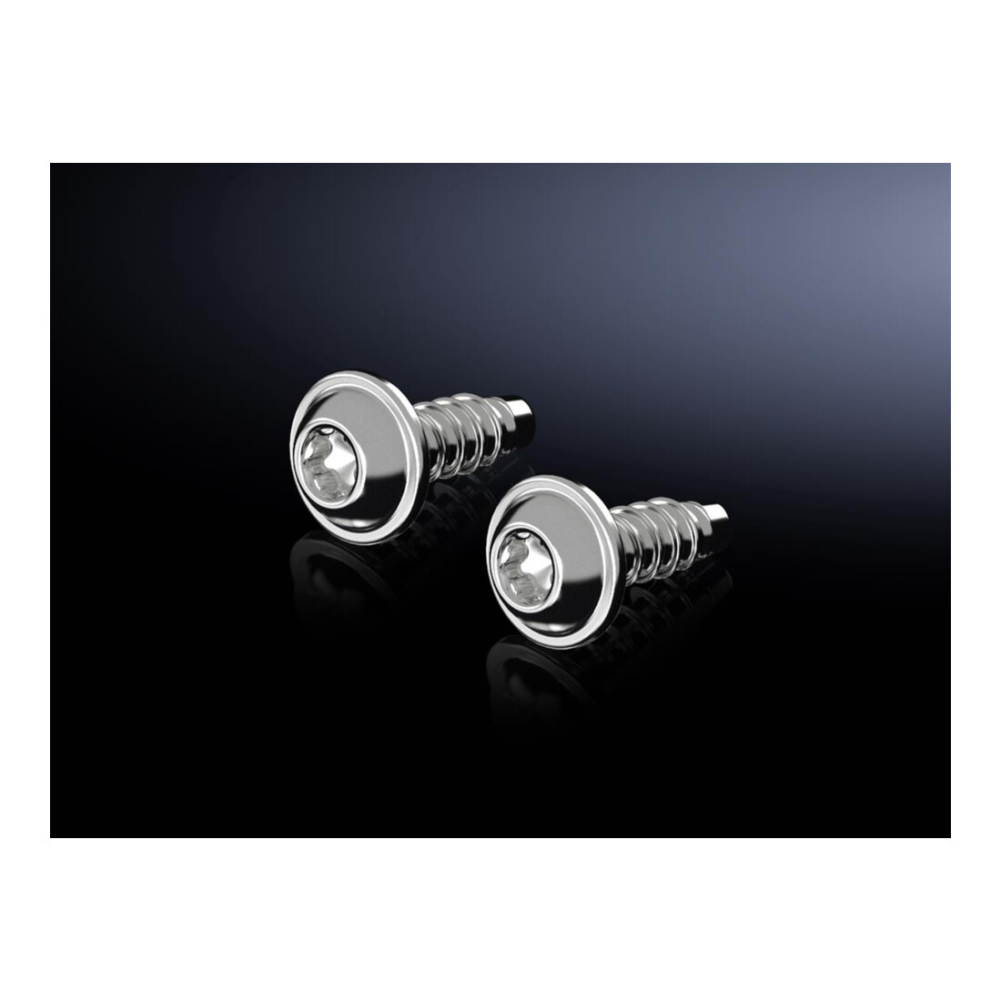 Rittal Vis en plastique AX 1485.300 (50 pièces)