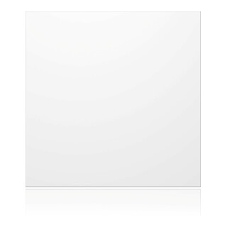 Ritto Module aveugle Portier blanc 95 × 95 × 33 mm 1876670