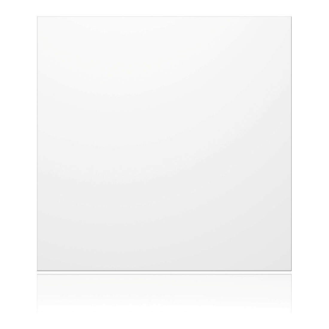 Ritto Module aveugle Portier blanc 95 × 95 × 33 mm 1876670