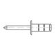 Rivet POP PolyGrip® tige de rivet d x l 4,8 x 15 mm acier / acier 500 un. GESIPA