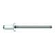 Rivets aveugles Gesipa A4 Acier inoxydable 4 x 8