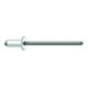 Rivets aveugles Gesipa Acier/Acier 4 x 18