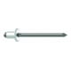 Rivets aveugles Gesipa aluminium/acier 4,8 x 30