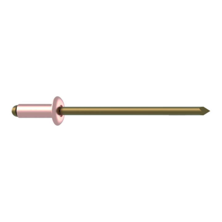 Rivets aveugles Gesipa cuivre/bronze 3 x 8