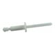 Rivets aveugles Gesipa Plastique 6 x 12