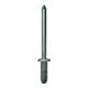 Rivets aveugles Gesipa PolyGrip A2 Acier inoxydable 6,4 x 13