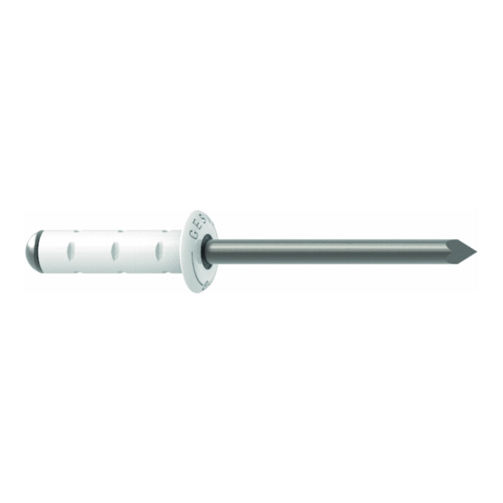 Rivets aveugles Gesipa PolyGrip Alu/Nirosta 3,2 x 8 RAL 9010 Blanc pur