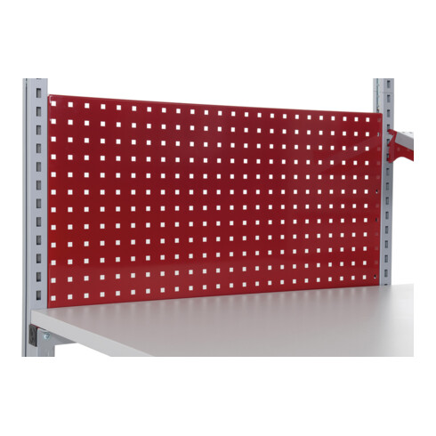 Rocholz Lochrückwand SYSTEM FLEX 1000x30x200 mm RAL3003