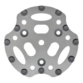 Roll PKD-Disco R12 250mm grigio con 12 segmenti rotondi PKD