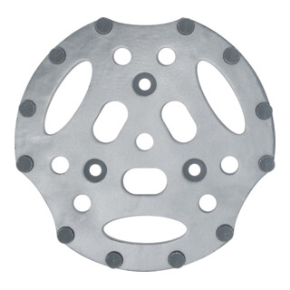 Roll PKD-Scheibe R12 300mm grau