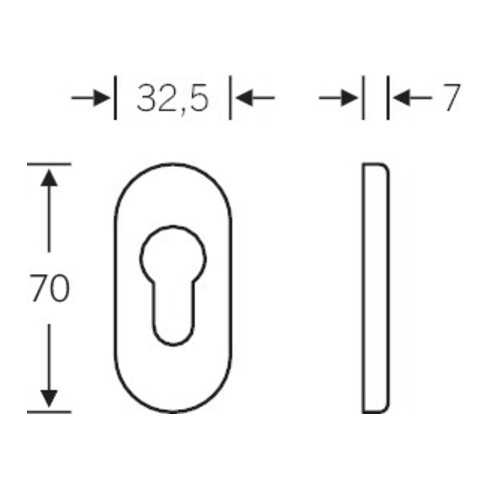 Rosace à clé FSB PT PZ 0 17 1757 ovale, F69 matte