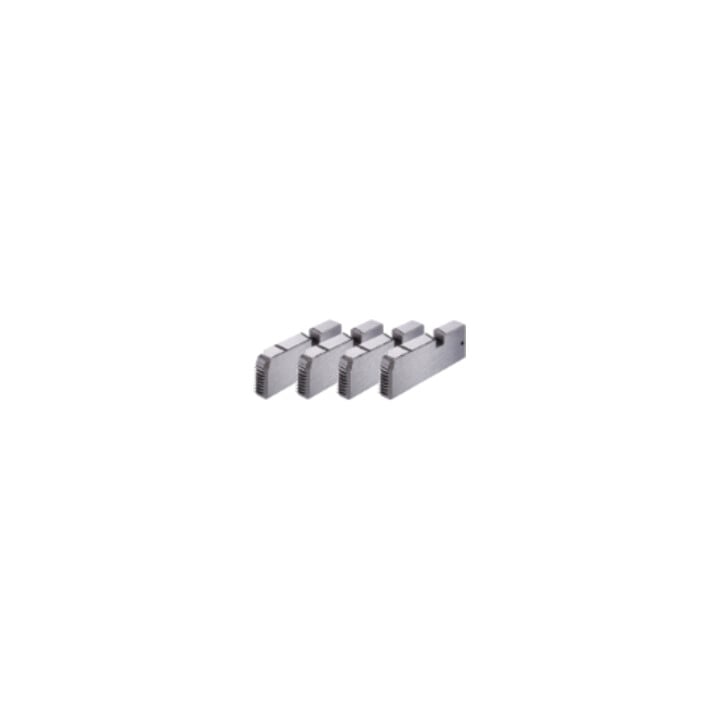 Rothenberger Gewindeschneidbacken, SS, BSPT R, 1