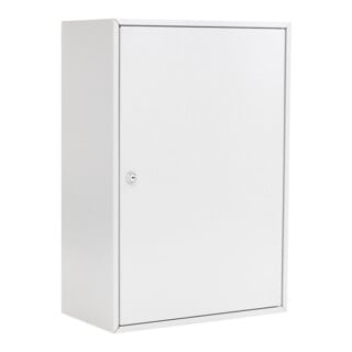 ROTTNER Armoire à clés S 300 serrure à cylindre gris clair