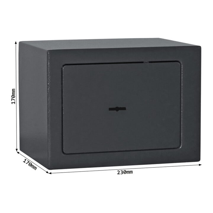 ROTTNER Coffre-fort d’insertion pour meubles Jupiter 1 serrure à double panneton Anthracite