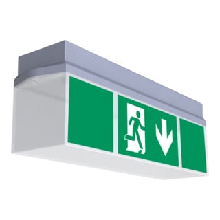 RP-Group Lampe de signalisation de secours LED EB 1h SC KWID411SC