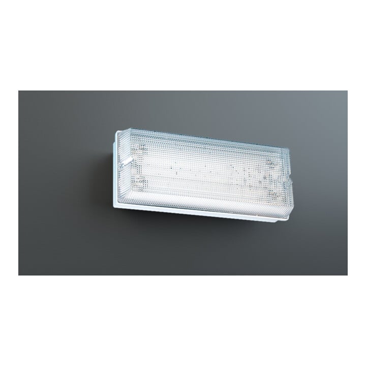 RP-Group Lampe de signalisation de secours PFW018WL 8h WL Set de pictogrammes