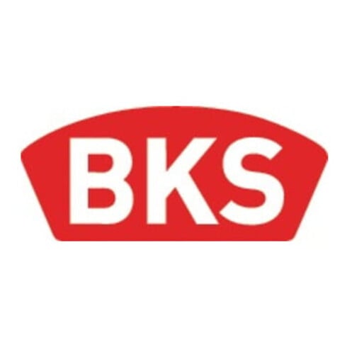 RR-Einsteckschl.B 1314 PZ 24/30/92/8mm DIN L/R VA 270mm BKS