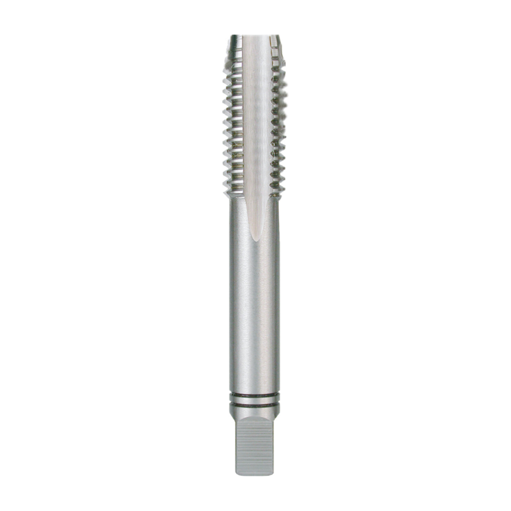 RUKO Handgewindebohrer M DIN 352 HSS Co 5 MS, geschliffen M 2