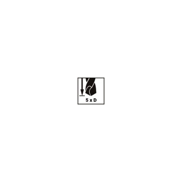 Ruko UC Spibosatz FLOWSTEP TIP DIN338 HSSCo 19-tlg in Rosebox