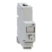 Rutenbeck Adaptateur de montage REG pour module universel UM-MA REG-1