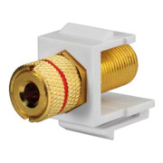 Rutenbeck Kommunikationsadapter Keyst.-Lautsprecher KMK-LS sw rw-3