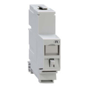 Rutenbeck REG-Montageadapter UM-Cat.6A iso A iso-REG-3