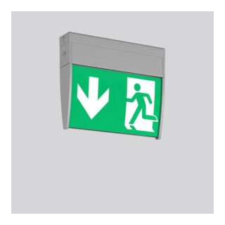 RZB Lampe LED de signalisation de secours 652219.004 argent