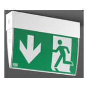 RZB LED lampe de secours 3h 672400.002-1