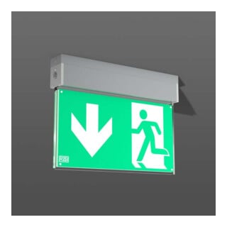 RZB LED lampe de secours 671985.004.2
