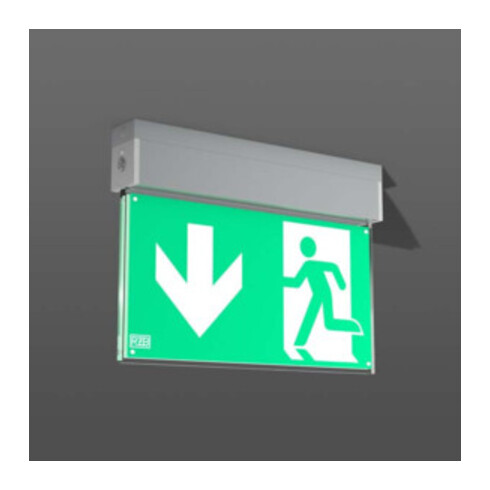 RZB LED-Notleuchte 671985.004.2