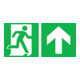SafetyMarking Panneau de sortie de secours Film 300x150 mm Sortie de secours droite avec flèche droite-1