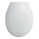 Sanitop-Wingenroth WC-Sitz Duro Smart-1