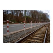 Schake Absperrpfosten Typ 460VB/1, herausnehmbar, Ø 60 mm, für Vorhangschloß, weiß / rot + 1 Öse-4