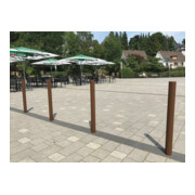 Schake Absperrstilpfosten Typ 477FUB, umlegbar + Dreikantverschluß, Ø 76mm + Zierkappe,-2