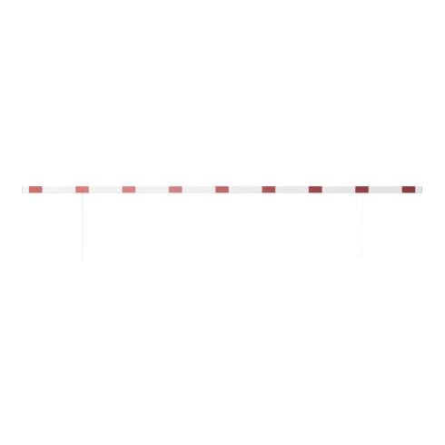 Schake Barriere aus Aluminiumprofil 100x20mm, Gesamtlänge 6000mm, einseitig reflektierend