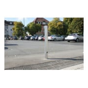 Schake Sperrpfosten aus Edelstahl Typ 40103P Ø 102mm, ortsfest zum Aufdübeln geschliffen-2