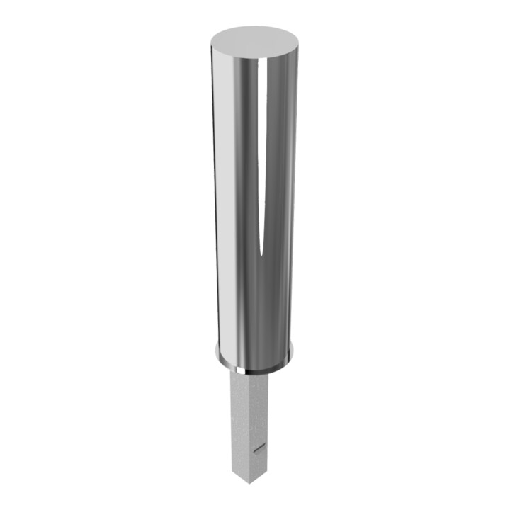 Schake Sperrpfosten aus Edelstahl Typ 40204F Ø 204mm, herausnehmbar, geschliffen + Dreikantverschluß,