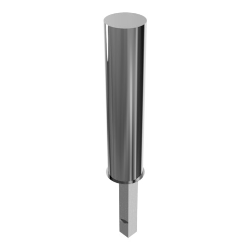 Schake Sperrpfosten aus Edelstahl Typ 40204F Ø 204mm, herausnehmbar, geschliffen + Dreikantverschluß,