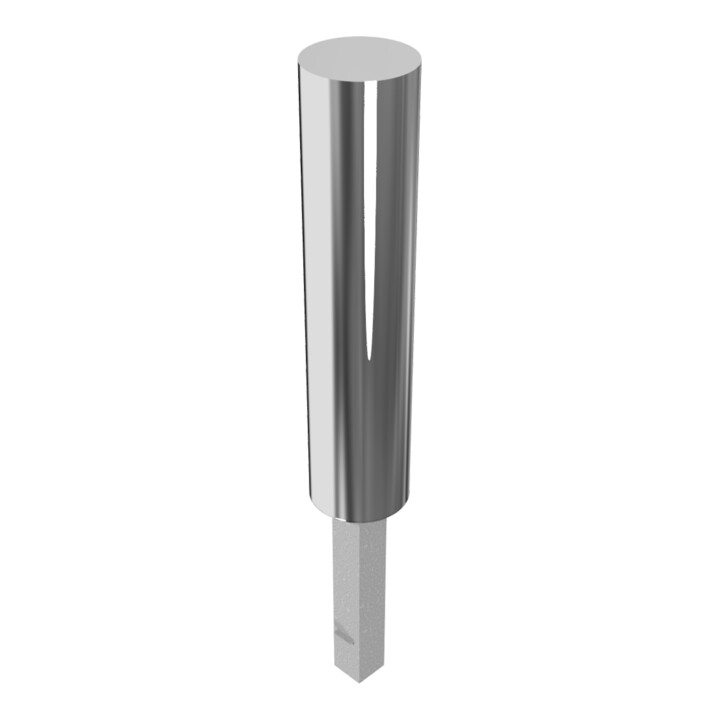 Schake Sperrpfosten aus Edelstahl Typ 40204Z Ø 204mm, herausnehmbar, geschliffen + Profilzylinder,